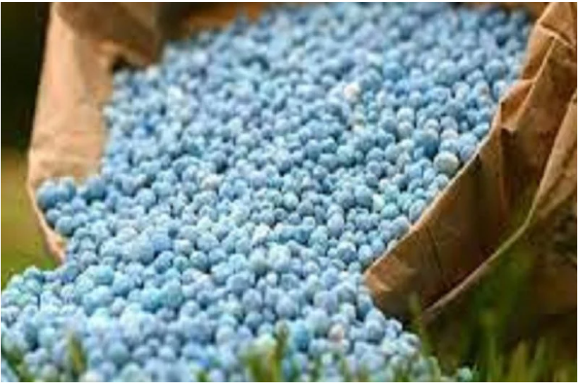 摩洛哥化肥产业：低排放铸就全球竞争新优势