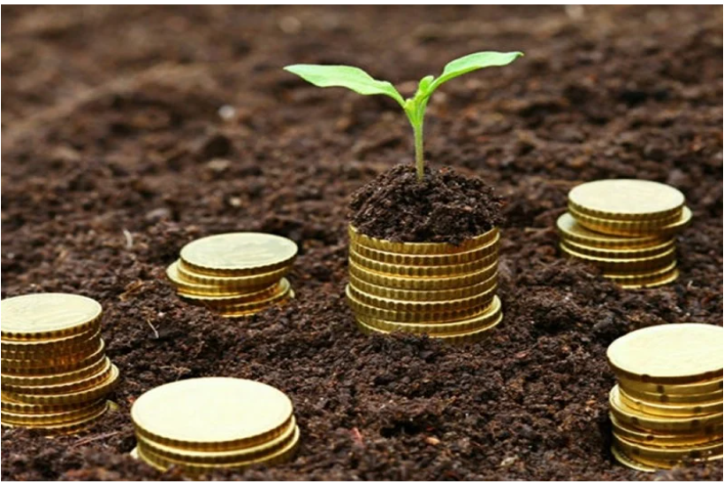 摩洛哥小额信贷行业 2025 年上半年持续复苏：大型机构主导，微型企业转型成关键支点