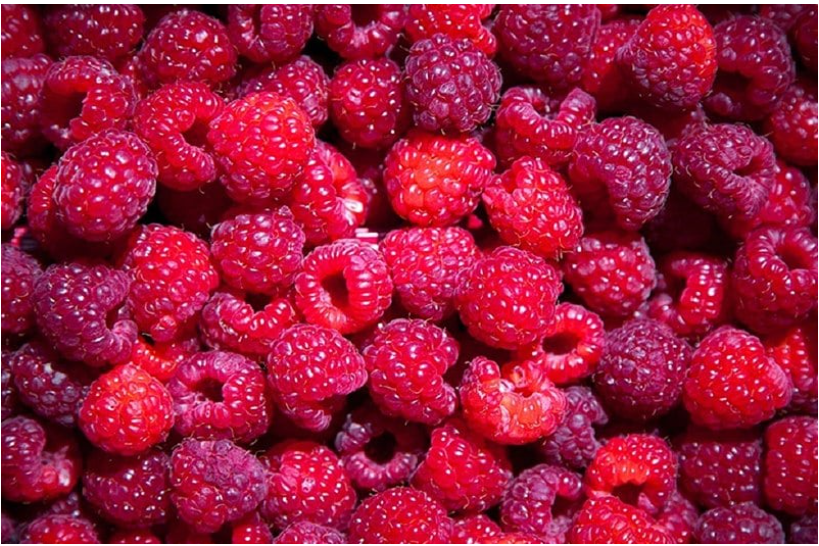 从风险尝试到全球赢家：摩洛哥覆盆子的出口崛起之路