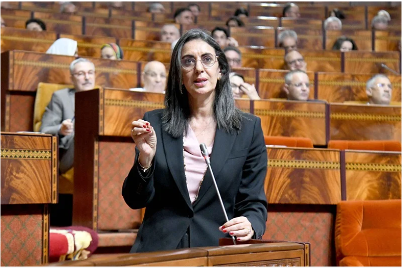 纳迪娅·费塔赫：深化摩西经济协同，共拓价值创造新空间