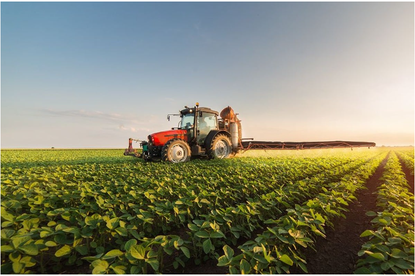 摩洛哥：平衡粮食增产与减排的可持续发展典范