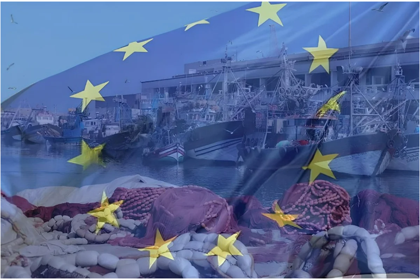 欧盟与摩洛哥重启渔业协定谈判 聚焦合法性、可持续性与战略平衡