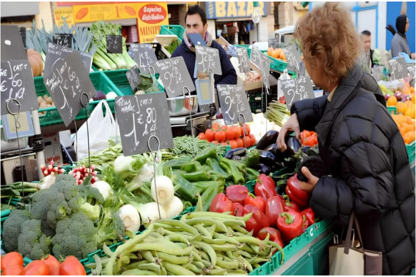 气候变化下欧洲蔬菜供应链承压，摩洛哥跻身战略合作伙伴