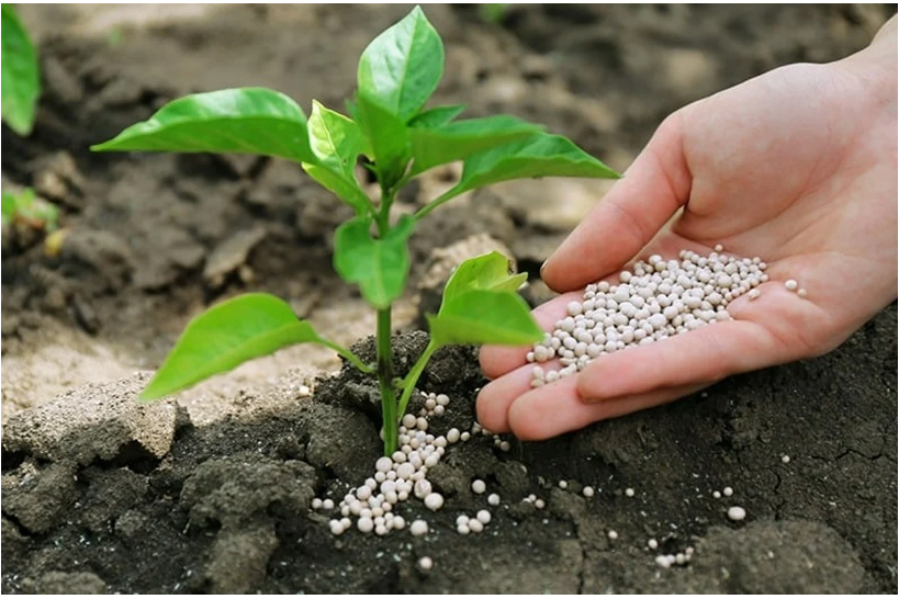 俄乌冲突下贸易格局重构：摩洛哥成为欧盟关键战略供应商