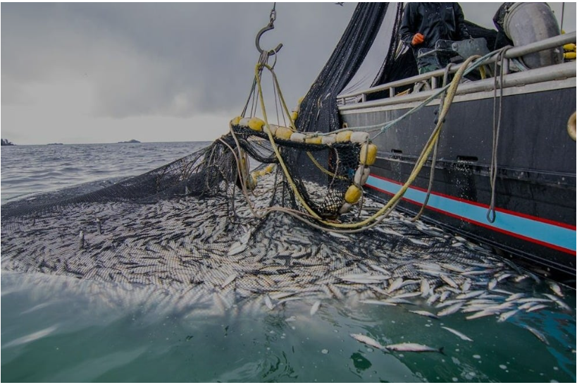摩洛哥沿海拖网与延绳钓渔船作业区划改革启动：渔业管理综合计划第一阶段落地