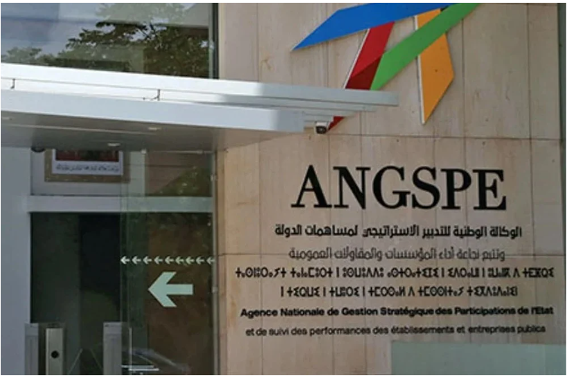 摩洛哥重塑国家股东角色：经合组织认可改革框架，落地执行成关键挑战