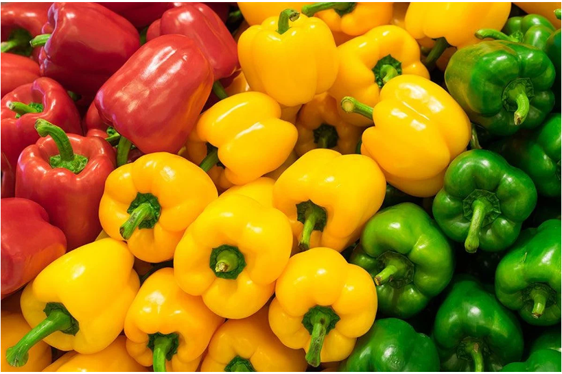 摩洛哥甜椒出口英国势头强劲，2025年进口量预计翻倍