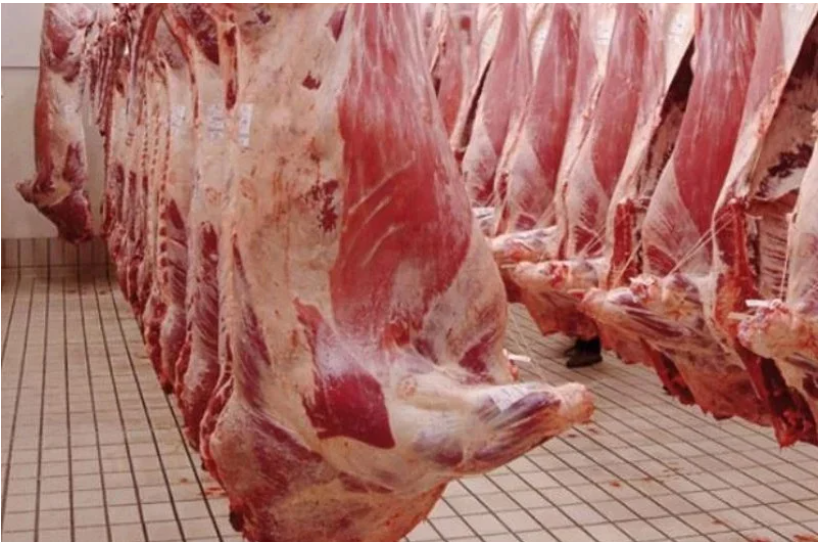 摩洛哥自欧盟肉类进口节奏缓慢，冷冻肉首批货预计明年 10 月抵港